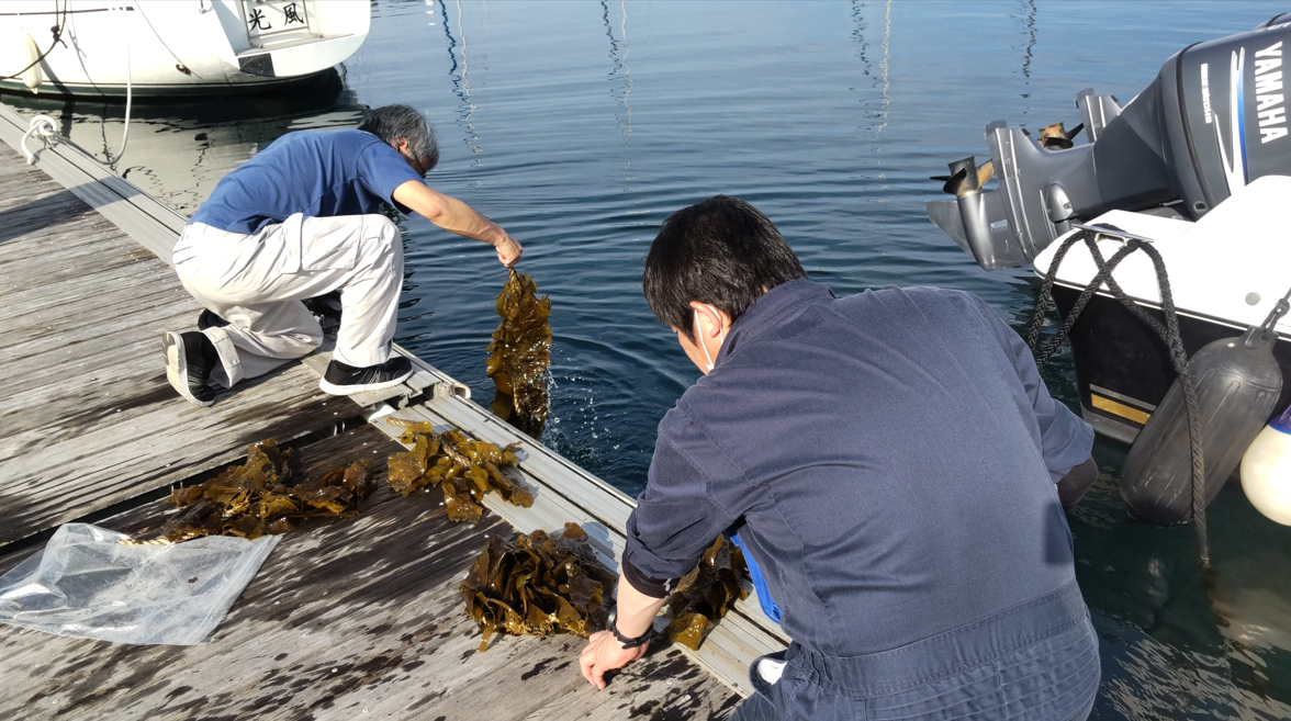 kajime 2025-05-14 1.png