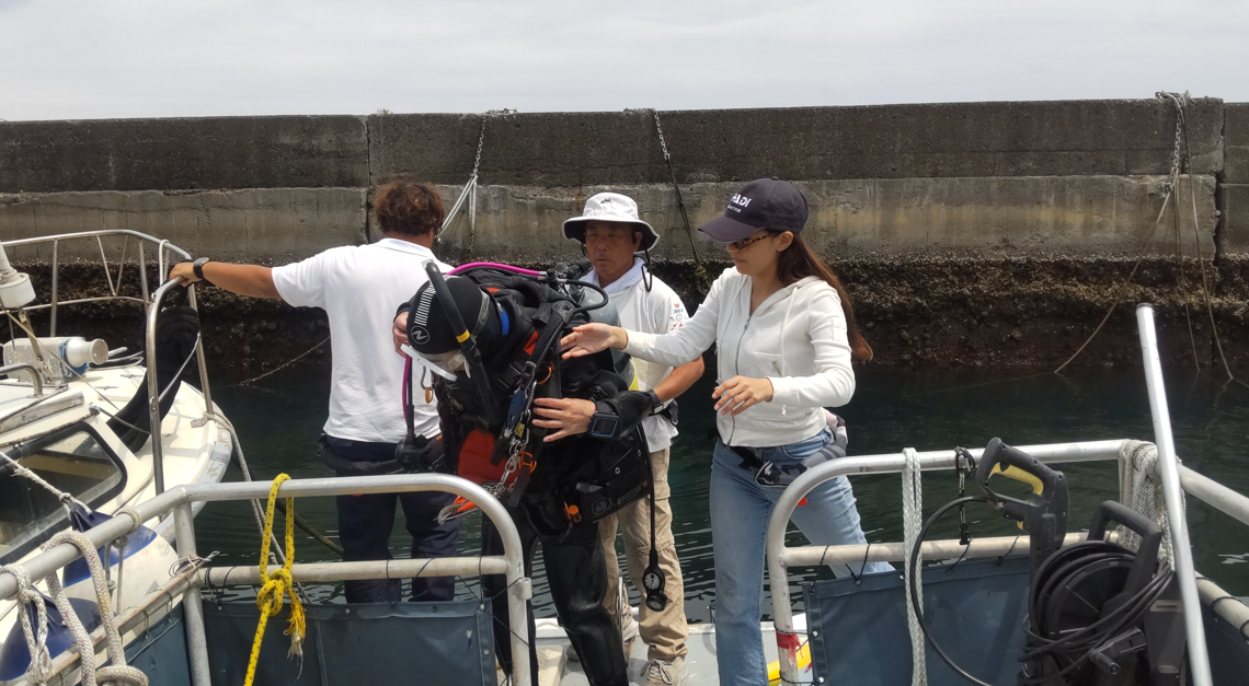 kajime sennjou2025-05-15 1.png